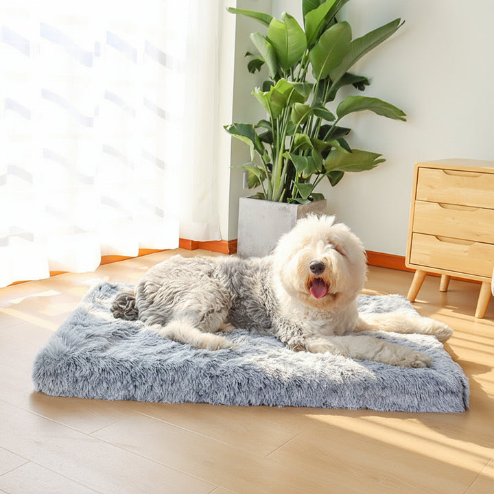 Cuccia per Cani e Gatti Cuscino Comfort in Memory Foam