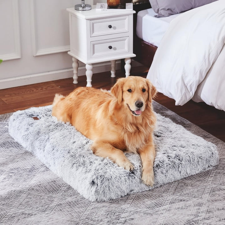 Cuccia per Cani e Gatti Cuscino Comfort in Memory Foam