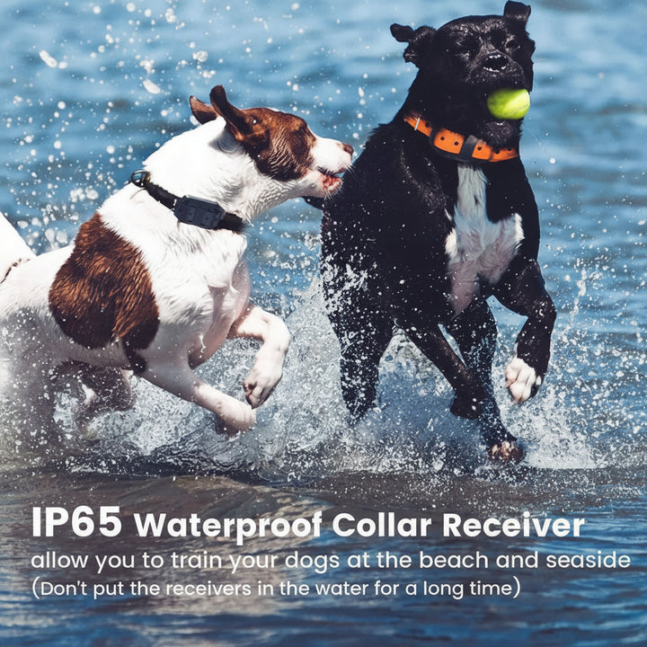 Dog Training Collar Waterproof Remote Control Shock Collar