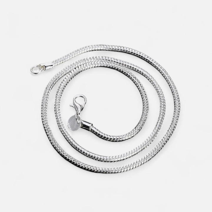Celzoir | Collier Classy Homme Chaîne Serpent en Argent