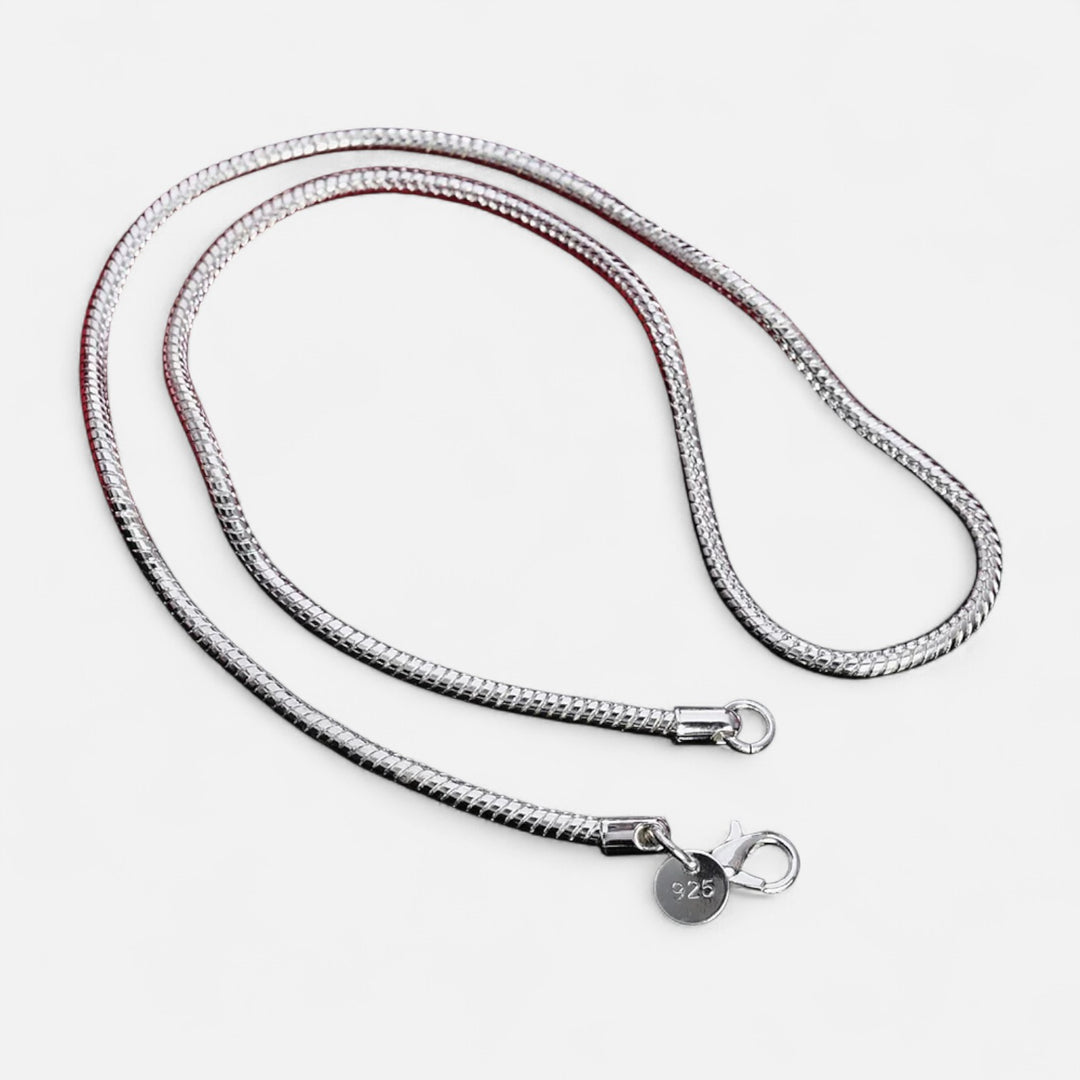 Celzoir | Collier Classy Homme Chaîne Serpent en Argent