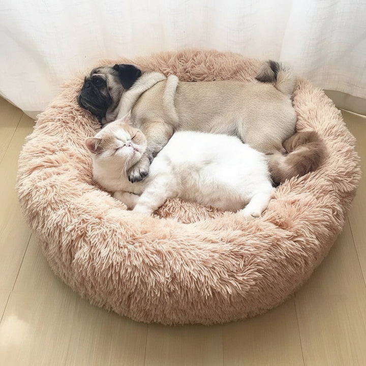 Cat Bed Small Large Cats Plush Cozy Comfort Lounger
