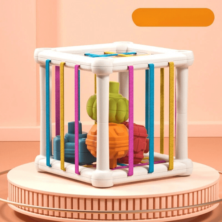 Blocs en Bois Montessori - Jouet Éducatif pour Enfants de 0 à 12 Mois - Développement des Couleurs et des Formes 3