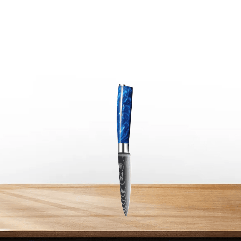 Couteau de Chef Japonais en Acier Inoxydable – Précision et Polyvalence pour Viande et Pain 0