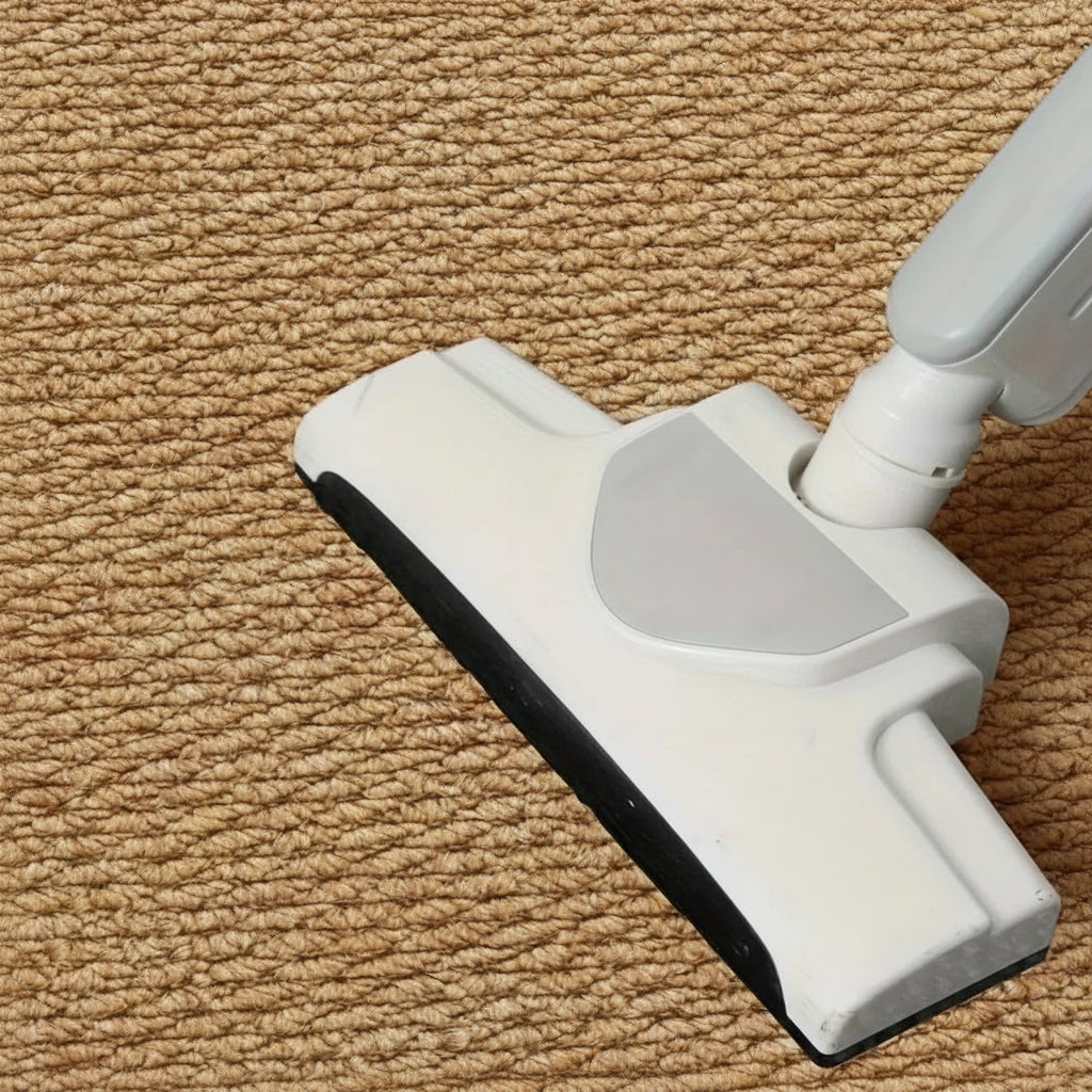 Doormat Absorbent Non Slip Indoor Entry Door Mat