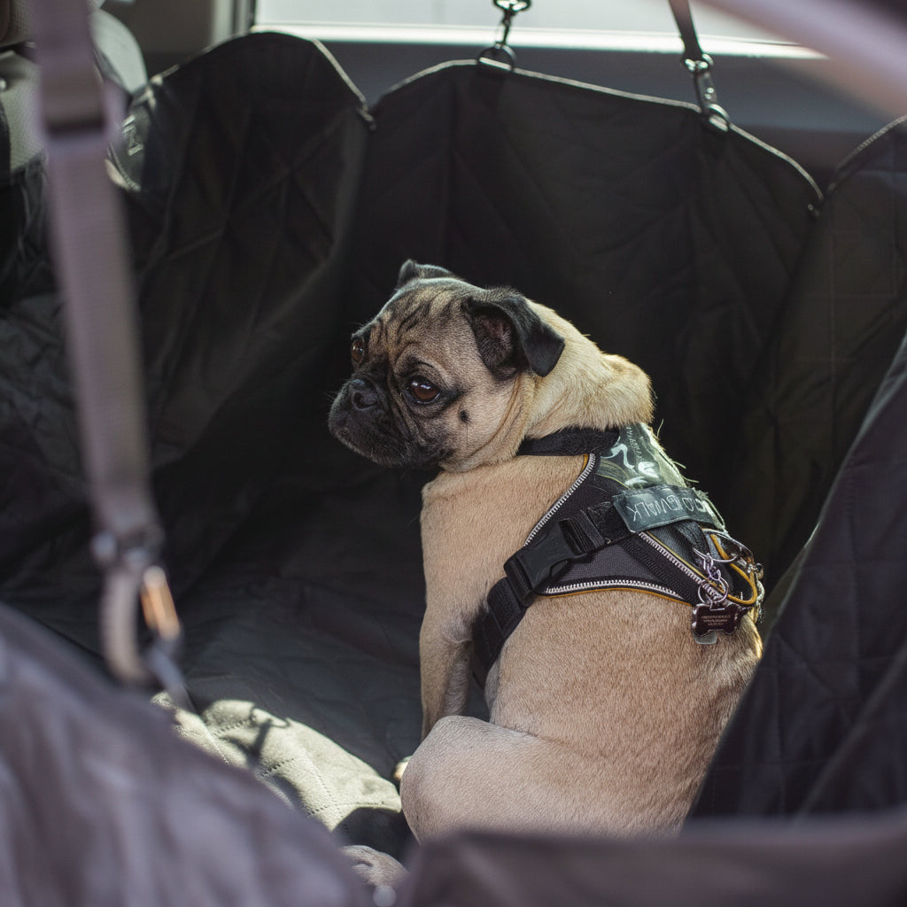 Dog Car Seat Cover Waterproof Non Slip Pet Seat Protector