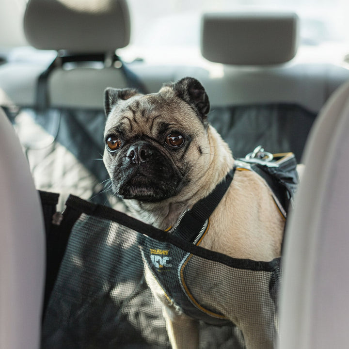 Dog Car Seat Cover Waterproof Non Slip Pet Seat Protector