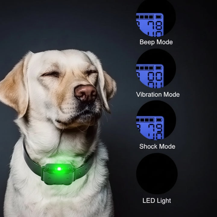 Dog Training Collar Waterproof Remote Control Shock Collar