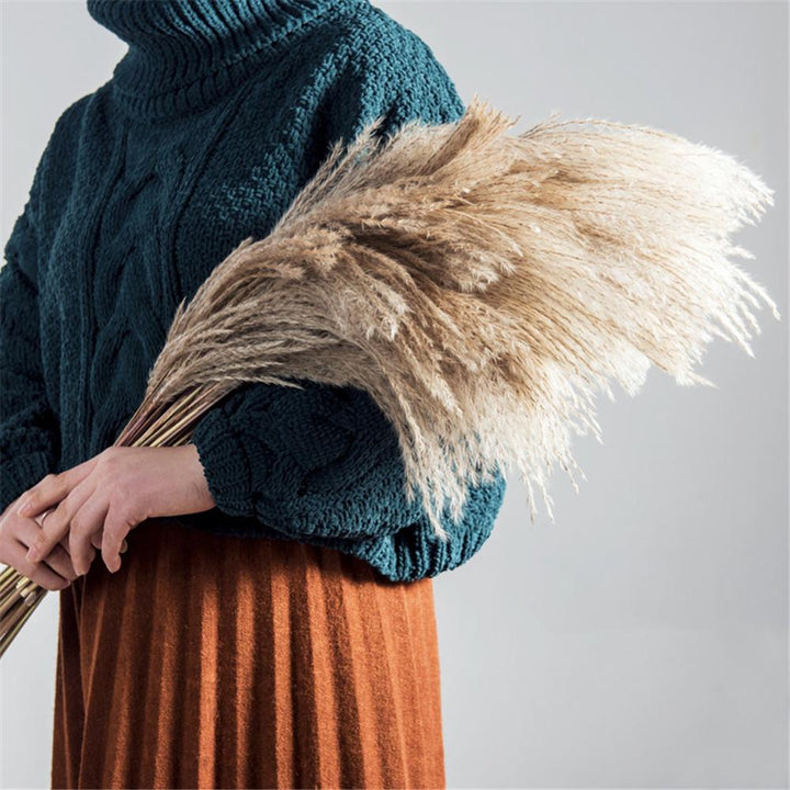 Herbe de Pampa Sèche Naturelle pour Décoration Intérieure – 50-56 cm, Élégante et Durable, Texture Unique 4