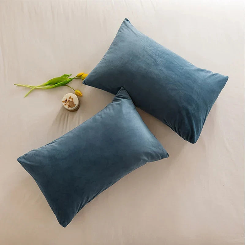 Housse de Coussin en Velours Doux 30x50 cm – Élégance et Confort pour Décor Intérieur 1