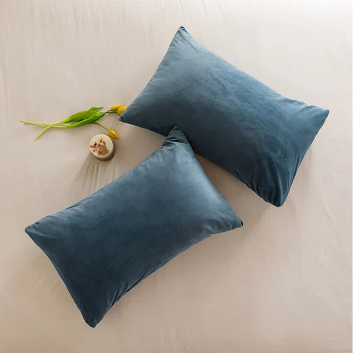 Housse de Coussin en Velours Doux 30x50 cm – Élégance et Confort pour Décor Intérieur 1