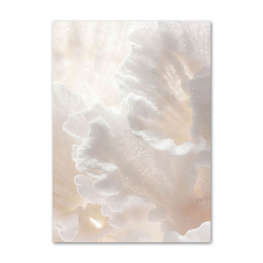 Impression Photo sur Toile NaturaTone en Tons Naturels – Décoration Murale Élégante et Durable 10