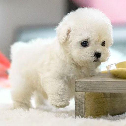 Jouet Chien Interactif en Peluche pour Chiot – Compagnon Réaliste en Cuir Synthétique Doux, Mouvements et Sons Réalistes, 30 cm 0