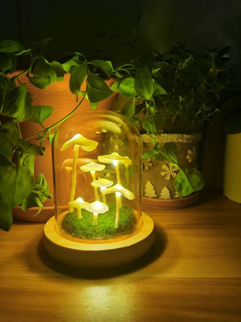 Lampe Décorative Champignon en Verre et Bois – Ambiance Enchantée pour Intérieur, Lampe Deco Originale 7