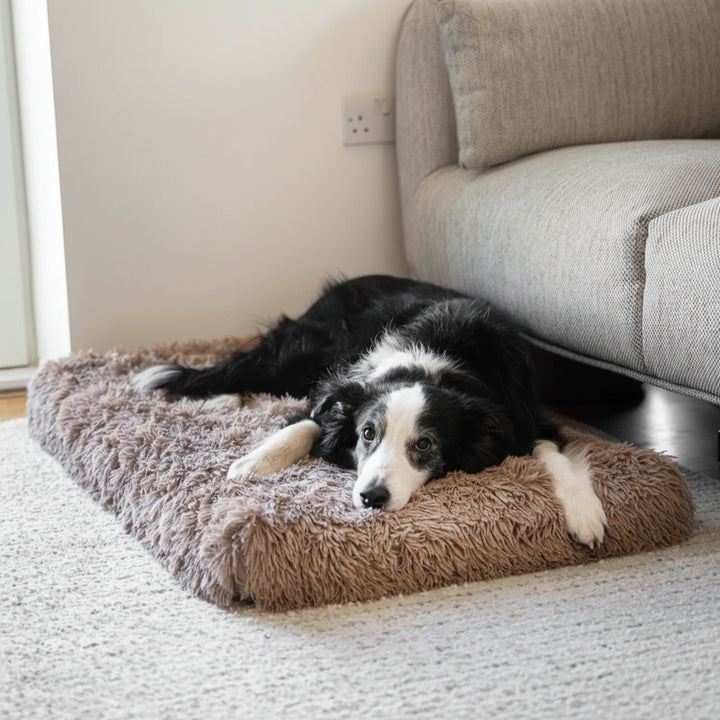 Cuccia per Cani e Gatti Cuscino Comfort in Memory Foam
