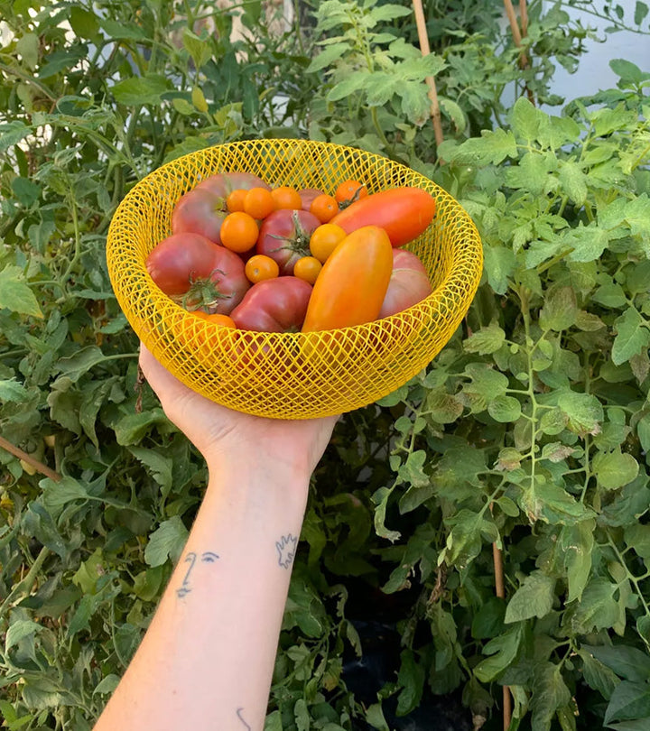 Panier de Fruits en Acier à Double Paroi – Ventilation Optimale et Design Élégant pour une Cuisine Moderne 2