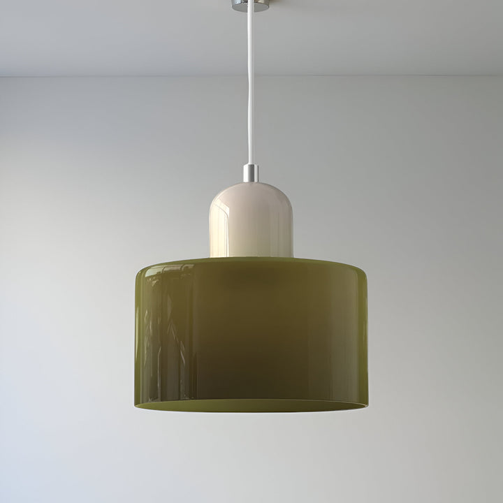 Pendant Light Glass Shade Modern Sculptural Hanging Lamp