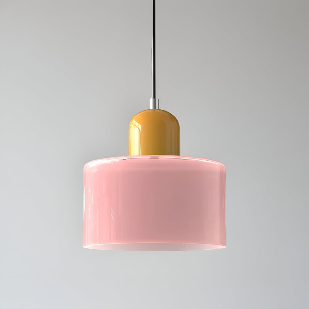 Pendant Light Glass Shade Modern Sculptural Hanging Lamp
