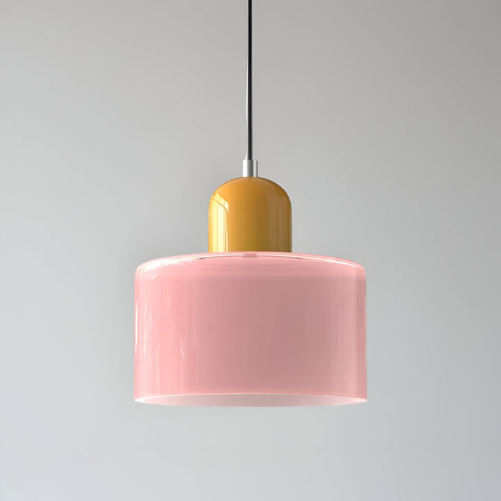 Pendant Light Glass Shade Modern Sculptural Hanging Lamp