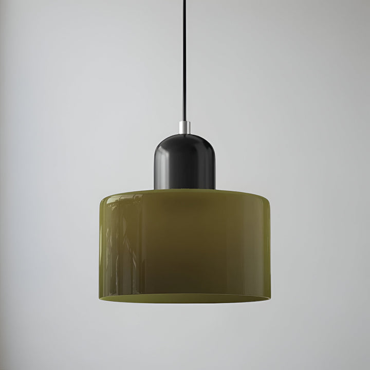 Pendant Light Glass Shade Modern Sculptural Hanging Lamp