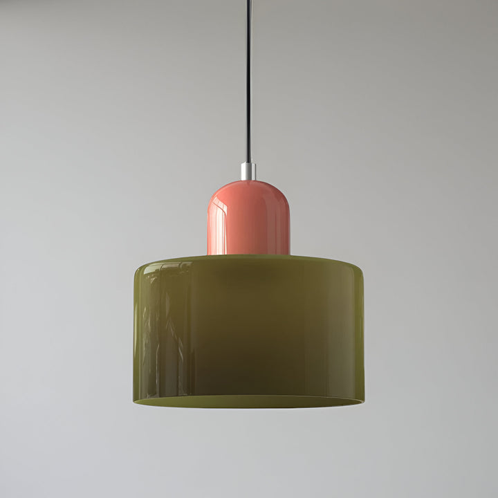 Pendant Light Glass Shade Modern Sculptural Hanging Lamp