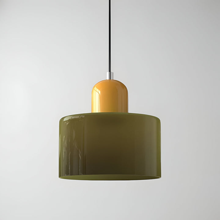 Pendant Light Glass Shade Modern Sculptural Hanging Lamp
