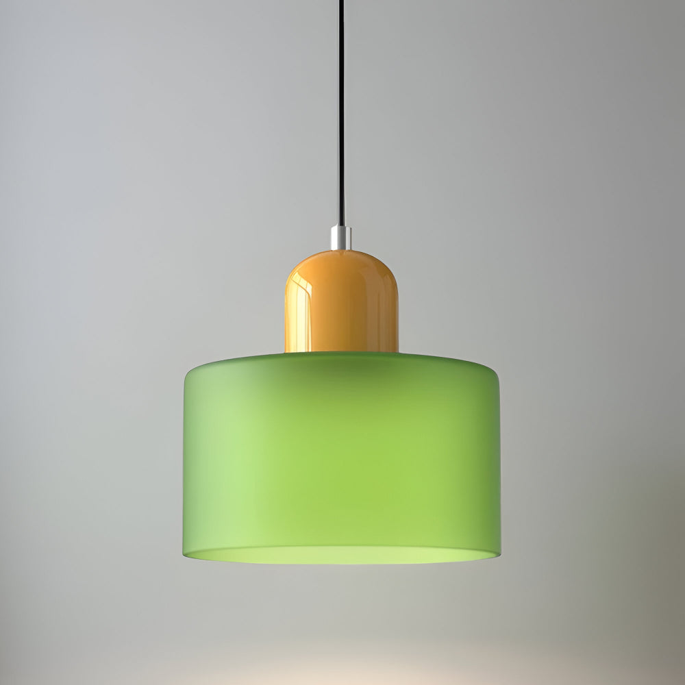 Pendant Light Glass Shade Modern Sculptural Hanging Lamp