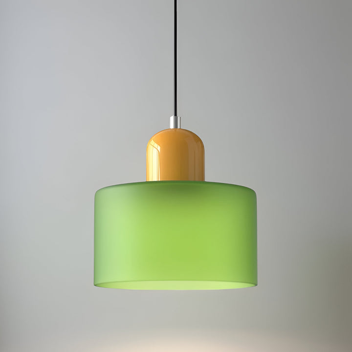Pendant Light Glass Shade Modern Sculptural Hanging Lamp