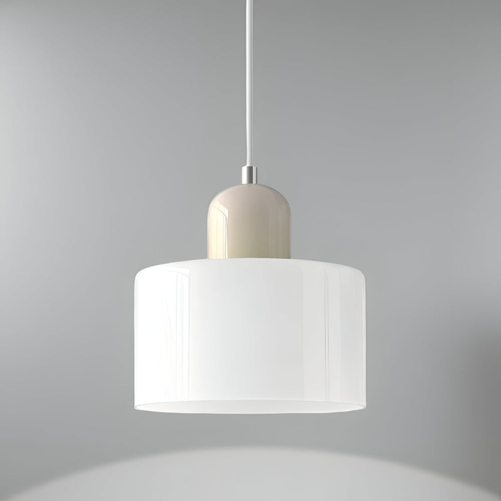 Pendant Light Glass Shade Modern Sculptural Hanging Lamp