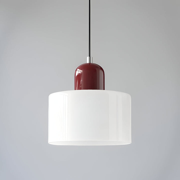 Pendant Light Glass Shade Modern Sculptural Hanging Lamp