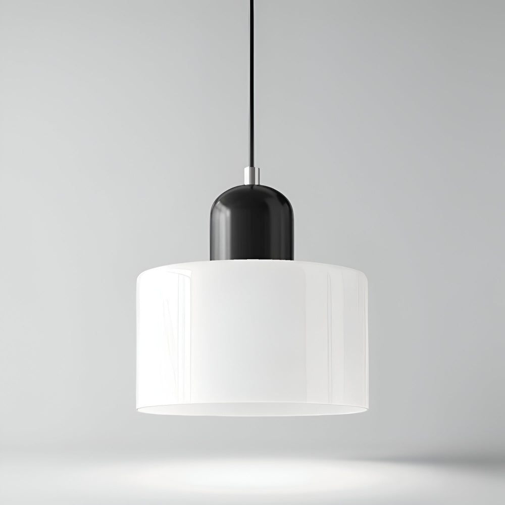 Pendant Light Glass Shade Modern Sculptural Hanging Lamp