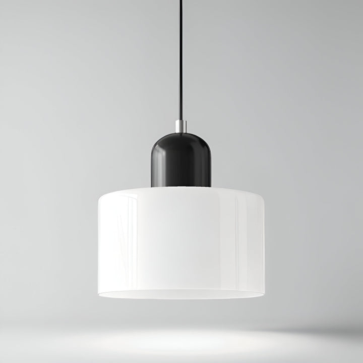 Pendant Light Glass Shade Modern Sculptural Hanging Lamp