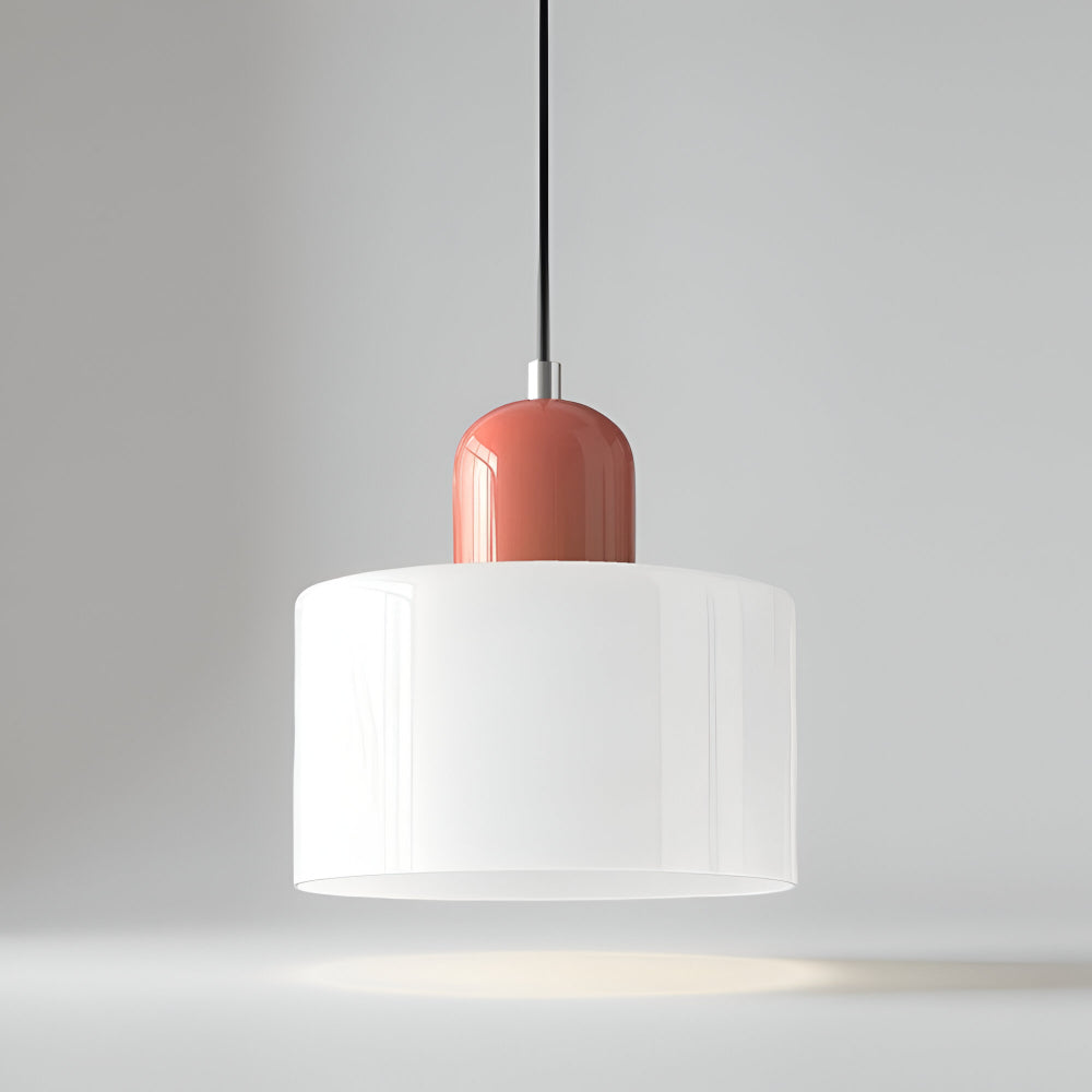 Pendant Light Glass Shade Modern Sculptural Hanging Lamp