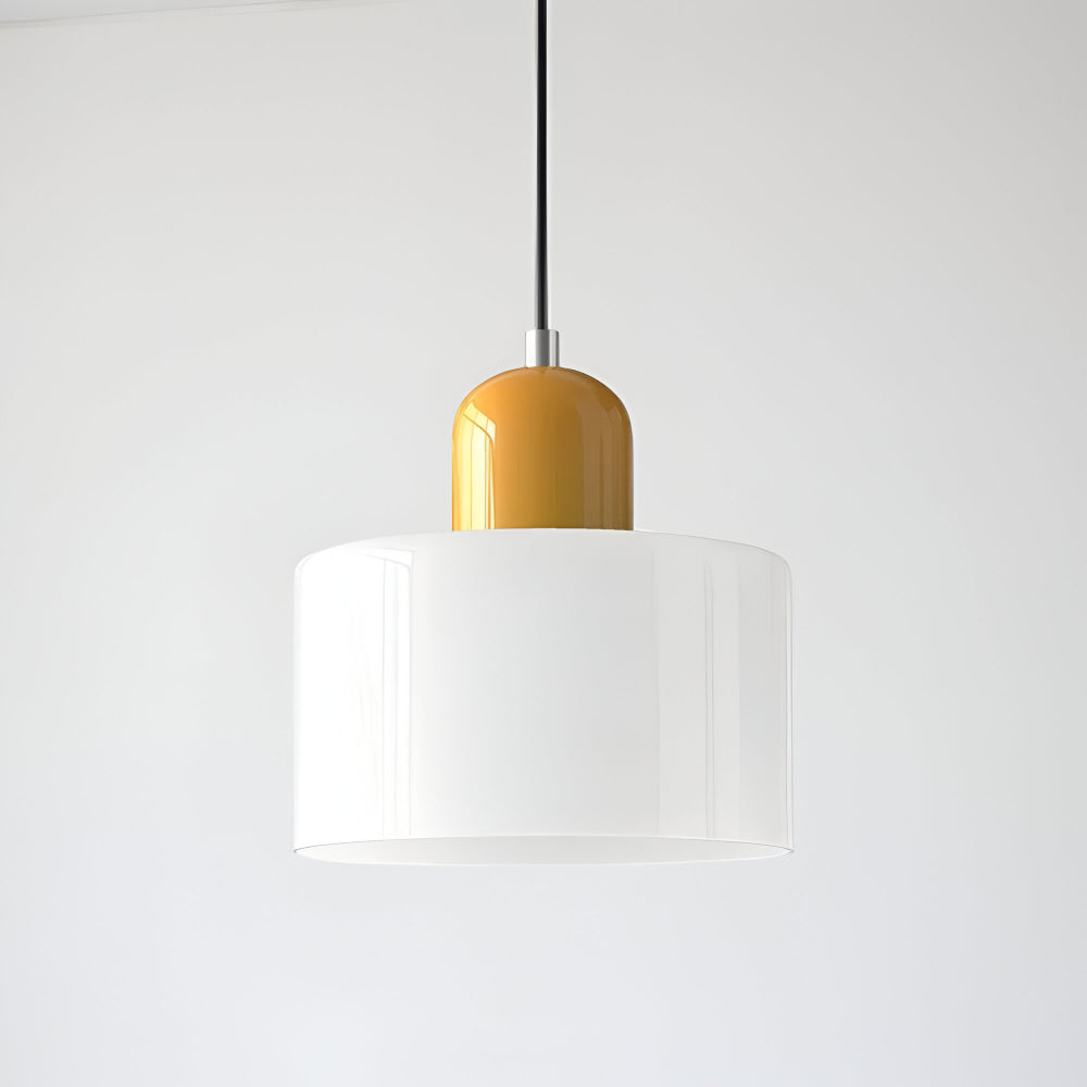 Pendant Light Glass Shade Modern Sculptural Hanging Lamp