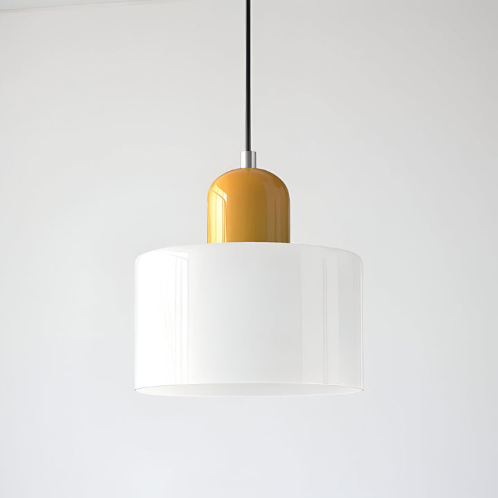 Pendant Light Glass Shade Modern Sculptural Hanging Lamp