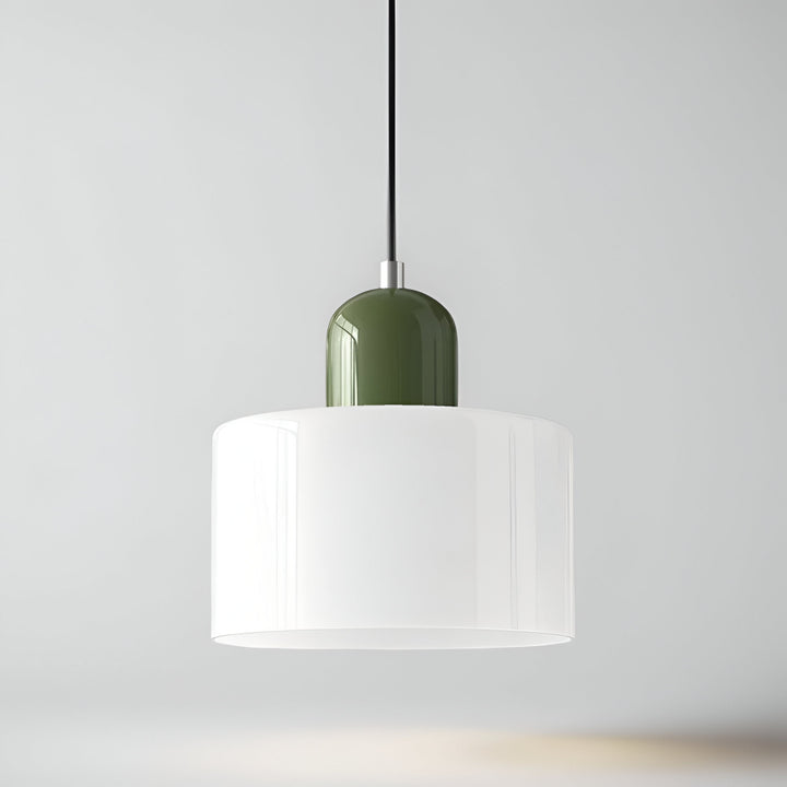 Pendant Light Glass Shade Modern Sculptural Hanging Lamp