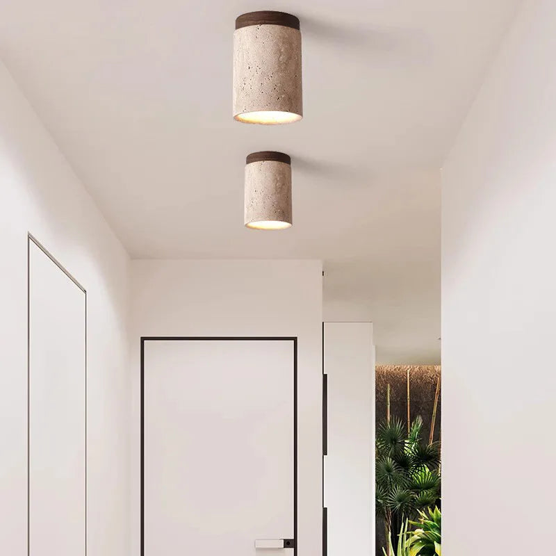 Plafonnier LED Design Élégant en Voyage Naturel pour Salon et Couloirs - Éclairage Moderne Intégré 24W 2
