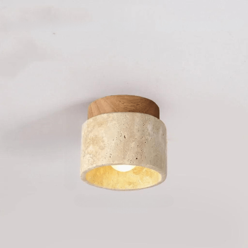 Plafonnier LED Design Élégant en Voyage Naturel pour Salon et Couloirs - Éclairage Moderne Intégré 24W 5