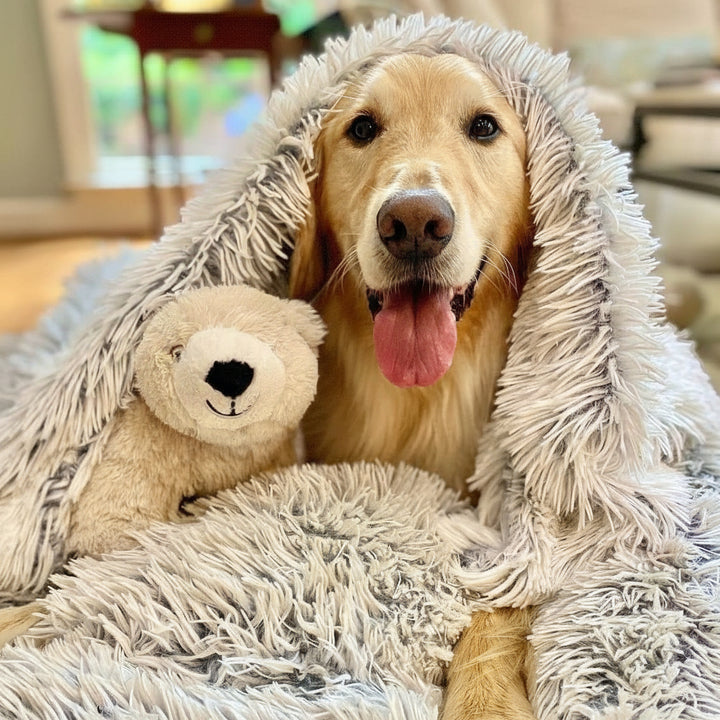 Pet Blanket Dogs and Cats Soft Fluffy Plush Comfort Throw