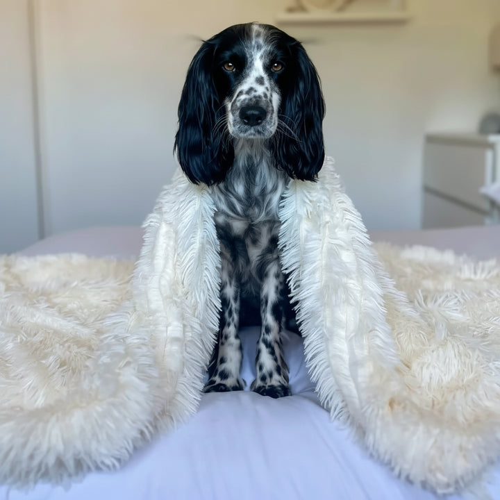 Pet Blanket Dogs and Cats Soft Fluffy Plush Comfort Throw