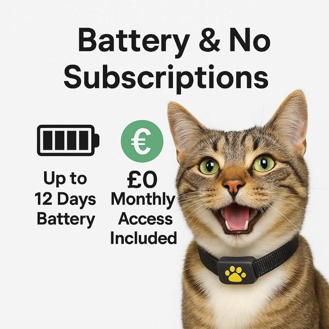 Cat GPS Tracker Pet Tracking Device With Bell For Collar Mounted Safety - Image 5