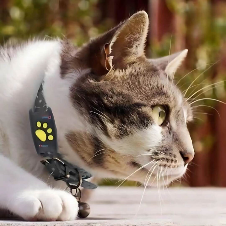 Cat GPS Tracker Pet Tracking Device With Bell For Collar Mounted Safety - Image 1