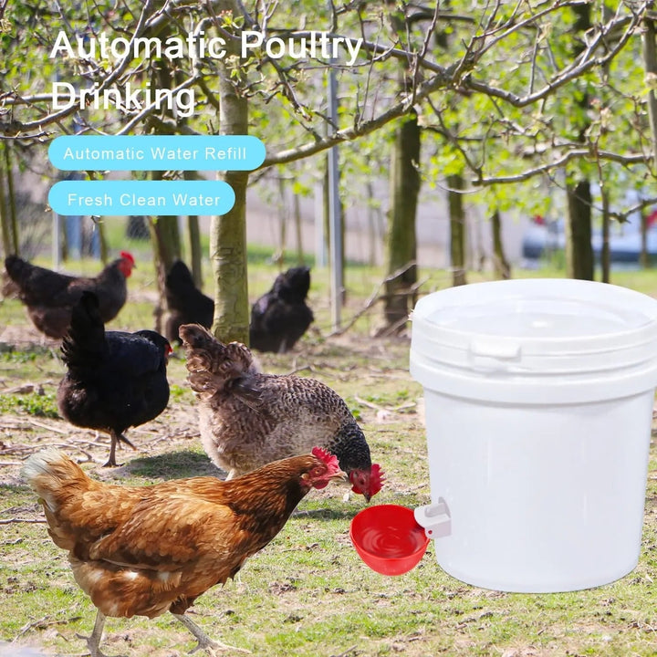 Chicken Waterer Cups Automatic Water Refill Plastic Drinking 12 Pack Poultry - Image 3