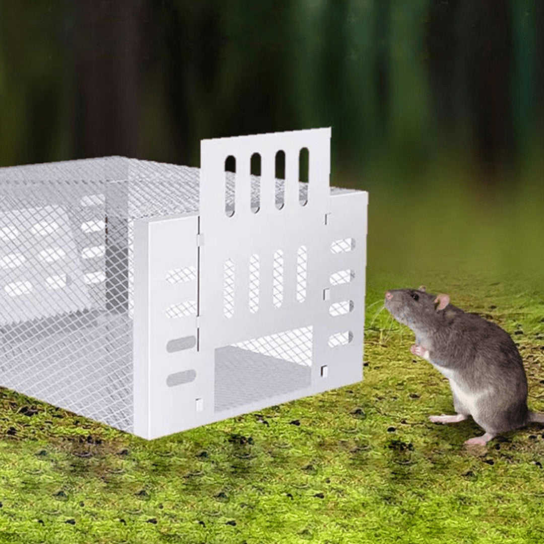 Humane Mouse Trap Live Catch Rectangular Cage One-Way Entry Silver Mesh - Image 2
