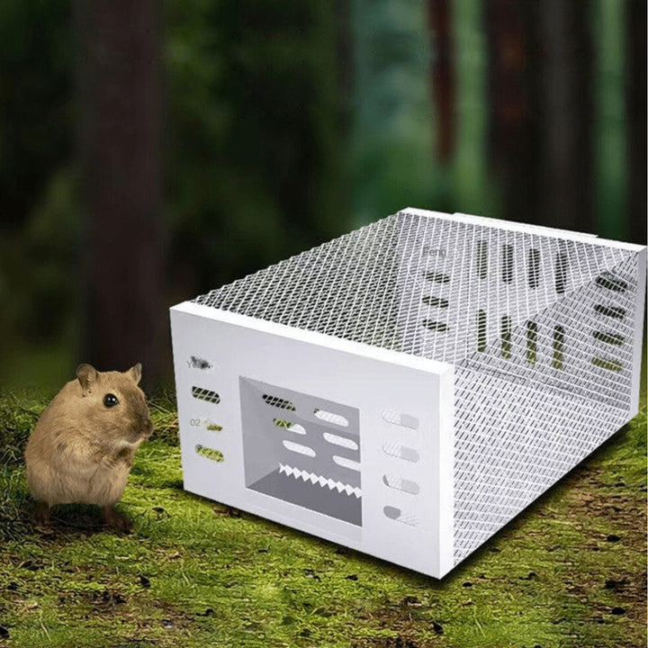 Humane Mouse Trap Live Catch Rectangular Cage One-Way Entry Silver Mesh - Image 5