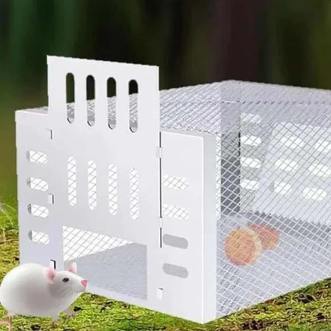 Humane Mouse Trap No Kill Live Catch Stainless Steel Cage Reusable Indoor Pest Control - Image 4