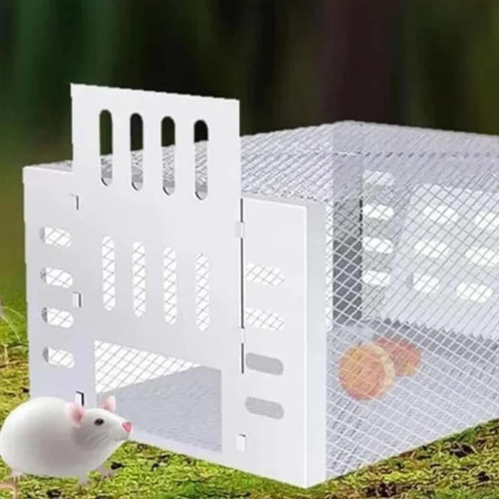 Humane Mouse Trap No Kill Live Catch Stainless Steel Cage Reusable Indoor Pest Control - Image 4
