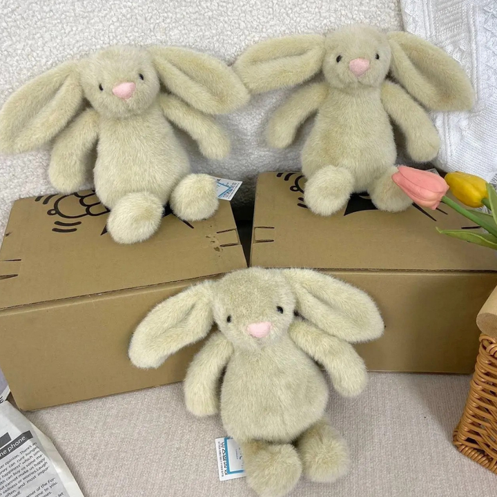 Plush Toy Bunnycat Graduation Rabbit Doll Cute Gift Stuffed Animal