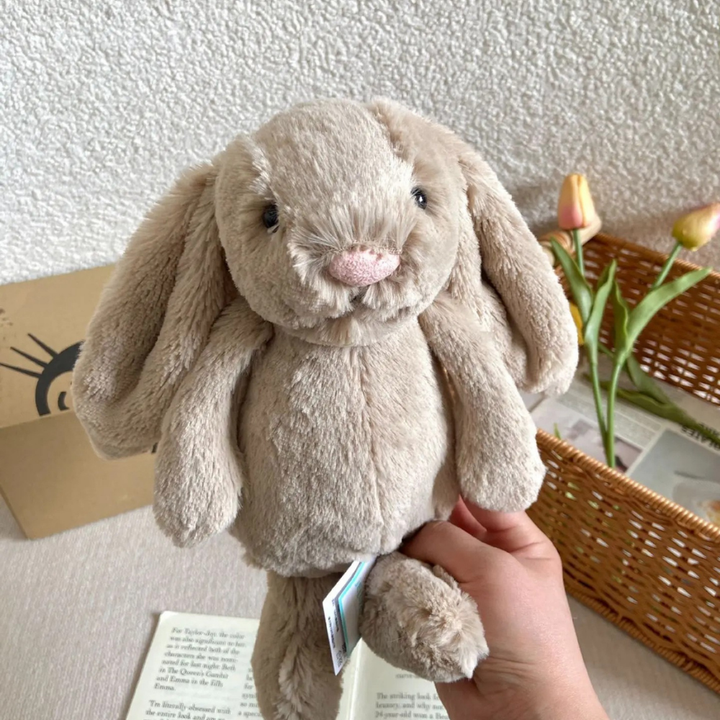Plush Toy Bunnycat Graduation Rabbit Doll Cute Gift Stuffed Animal