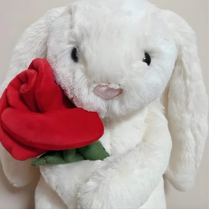 Plush Toy Bunnycat Graduation Rabbit Doll Cute Gift Stuffed Animal